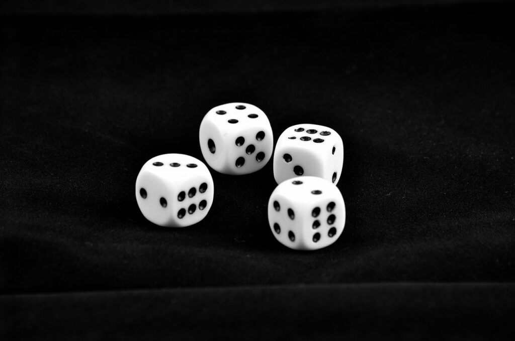 SeedSigner dice roll